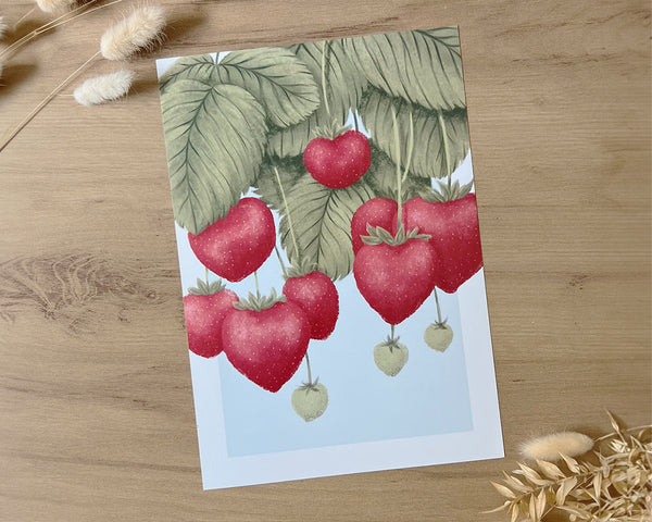 Erdbeeren Illustration im A4 Format von Plixton