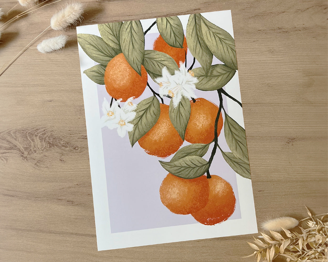 Orangen Illustration im A4 Format von Plixton